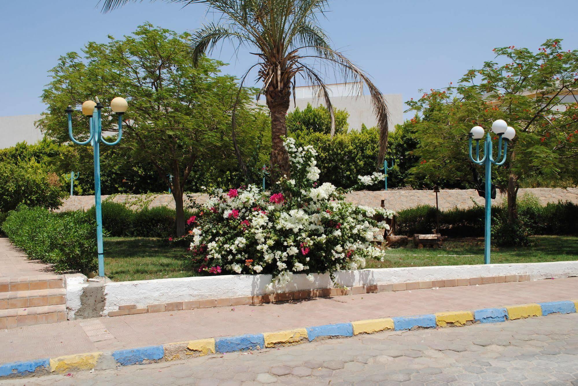 Sharm Cliff Resort Buitenkant foto